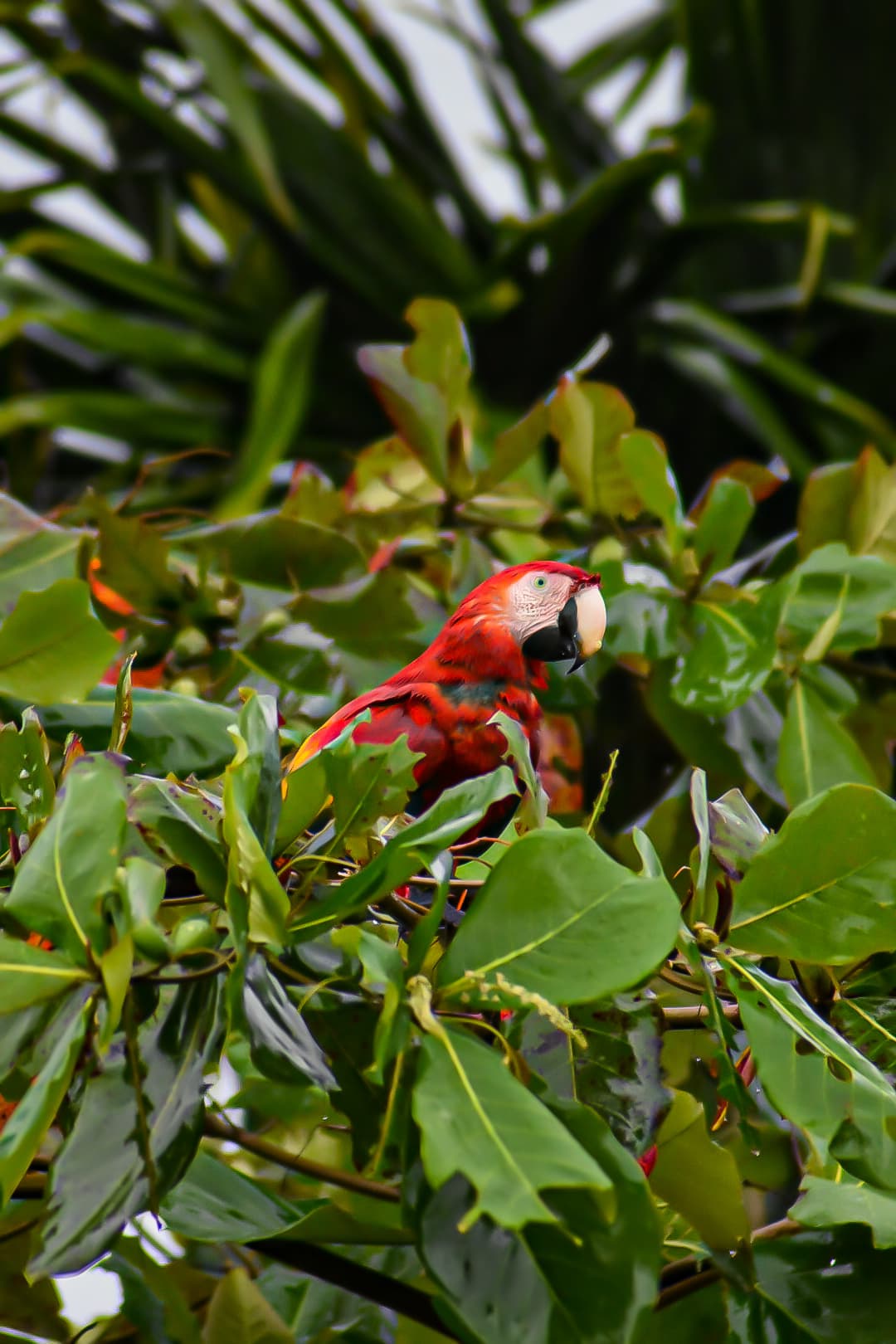 Vista panorámica de Casa Calma