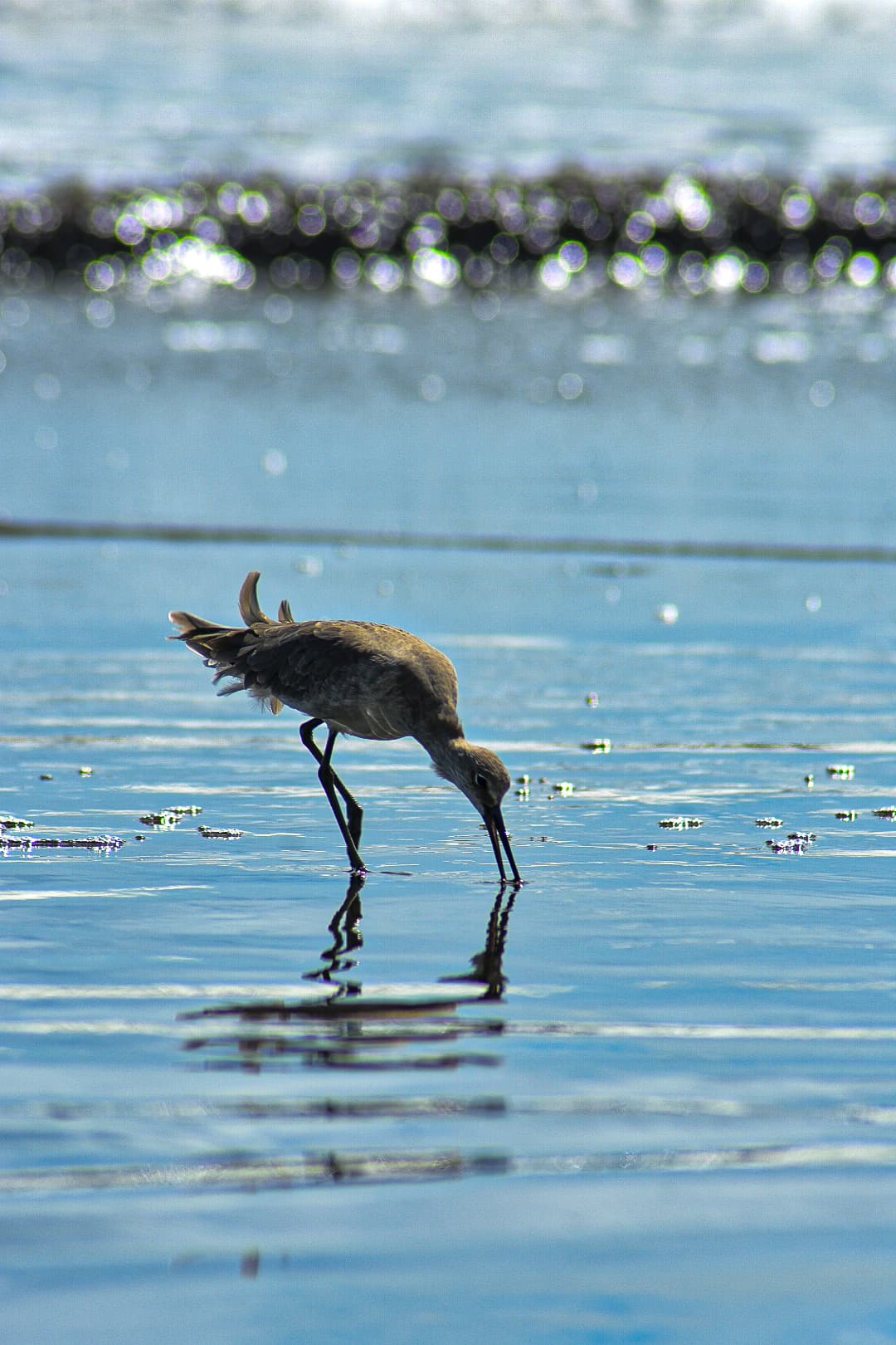 Terraza y áreas comunes