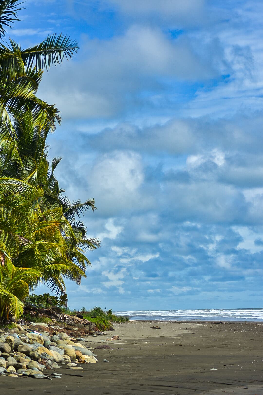 Vistas desde la propiedad