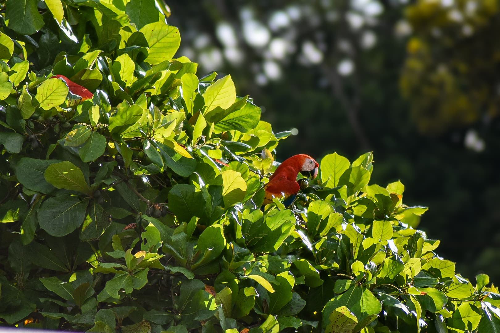 Detalles arquitectónicos